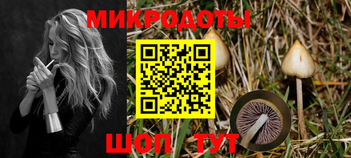 Псилоцибиновые грибы Magic Shrooms Волгоград