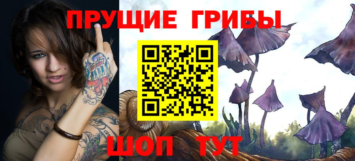 Псилоцибиновые грибы Cubensis  даркнет сайт  Вход с VPN  Волгоград  Галлюциногенные грибы мухоморы 